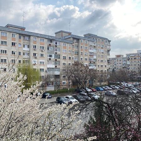 Virginia'S Studio Pitesti Exterior photo
